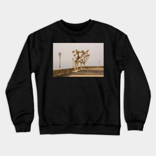 Torri del Benaco Waterfront Crewneck Sweatshirt